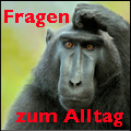 fragen